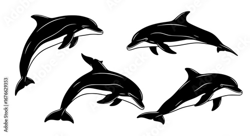 Illustration of dolphins in various poses and angles for POD