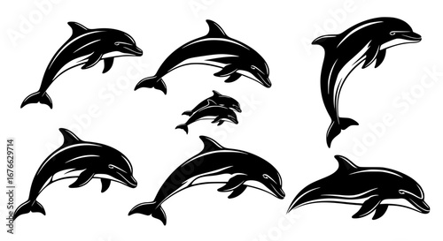 Vector art of dolphin silhouettes, a playful and intelligent mammal for POD