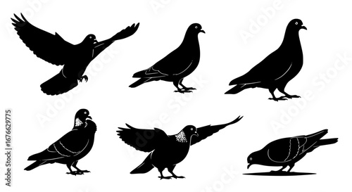 Vector art of silhouette illustration of pigeons in different poses for POD
