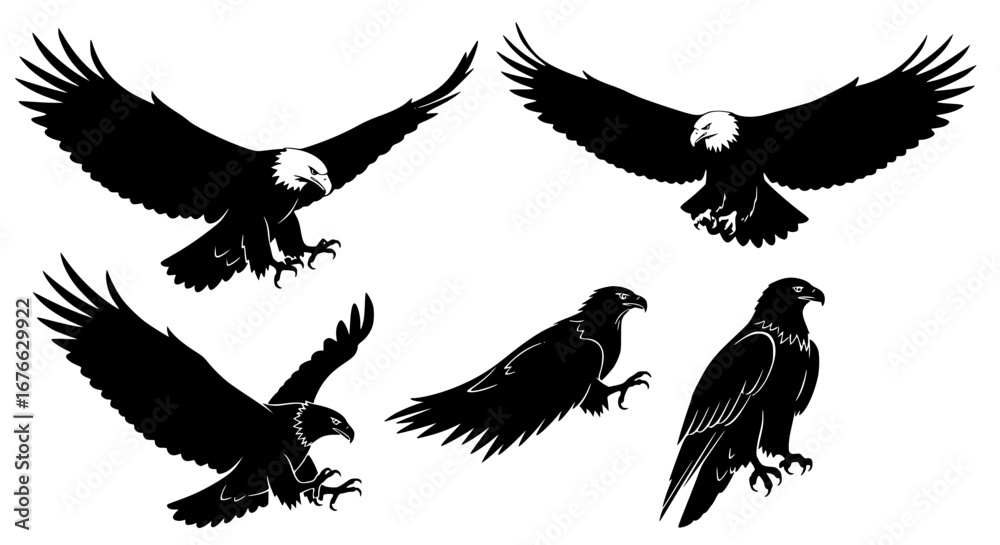 Obraz premium Vector art of collection of bald eagle silhouettes in different poses for POD