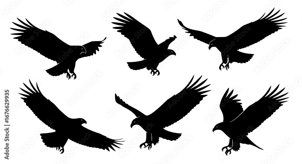 Obraz premium Vector art of silhouette of eagles in flight for POD