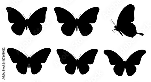 Vector art of collection of butterfly silhouettes for design and decoration for POD