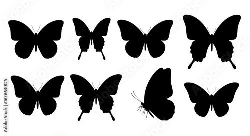 Vector art of collection of butterfly silhouettes for design and decoration for POD