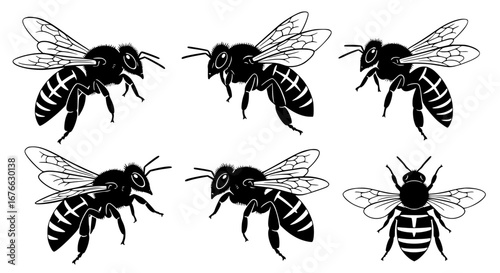 Vector art of collection of honey bee illustration for POD