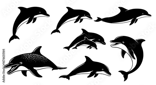 Vector art of set of dolphin silhouettes, marine mammal vector illustration for POD