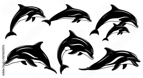 Vector art of set of dolphin silhouettes, marine mammal vector art for POD