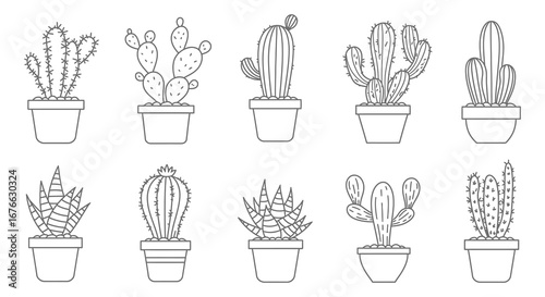 A collection of various cactus plants in pots illustration