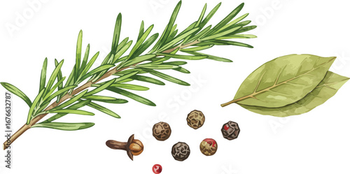 Rosemary sprig and bay leaves with seeds on white background on transparent background