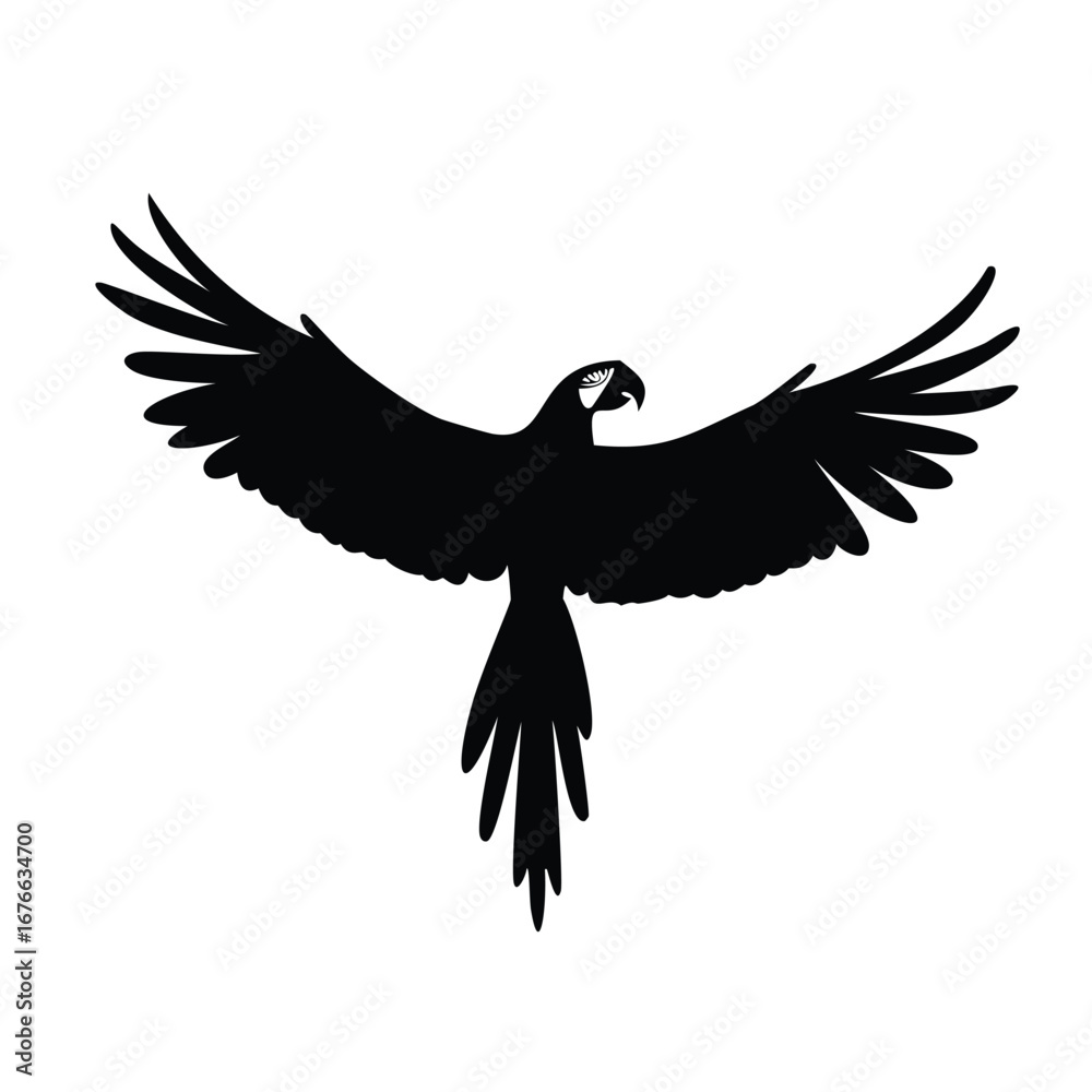 Obraz premium Black silhouette of a parrot with wings spread wide white bird