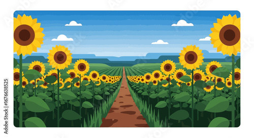 Sunflower field with a path leading to distant hills under a blue sky