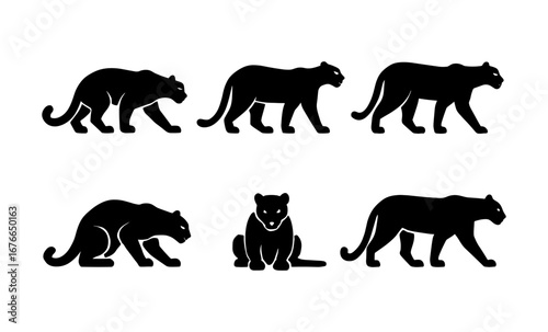 Set of black silhouette panther poses on white background