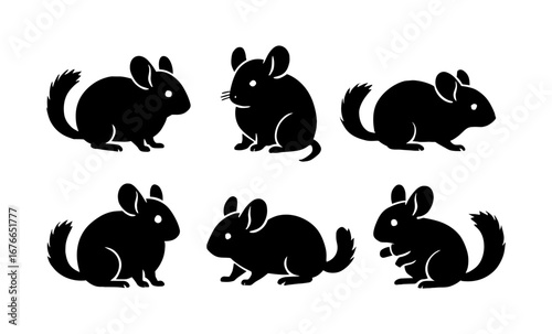 Silhouette set of cute chinchillas in various poses on white background