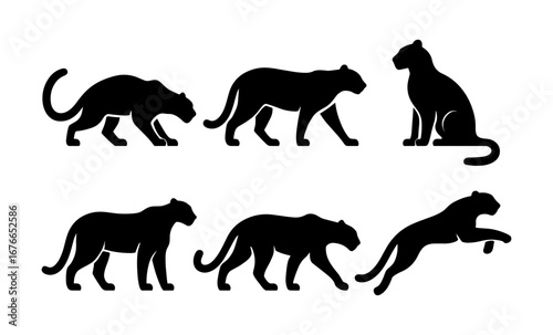 Silhouette set of six big cats in various poses on white background