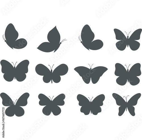 butterfly vectors nature beau...
