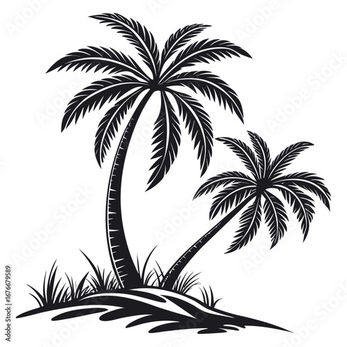 palm tree silhouette