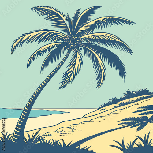 palm tree on the beach