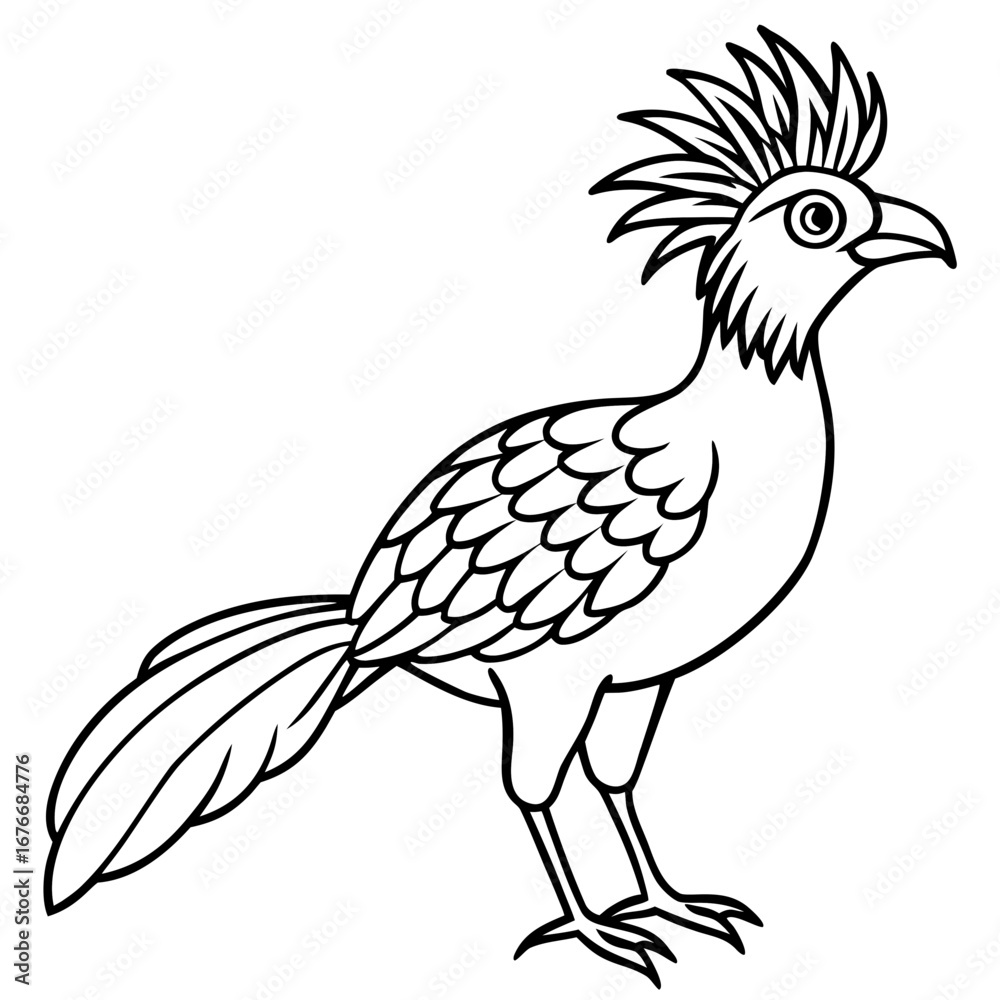 Fototapeta premium Hoatzin line art vector