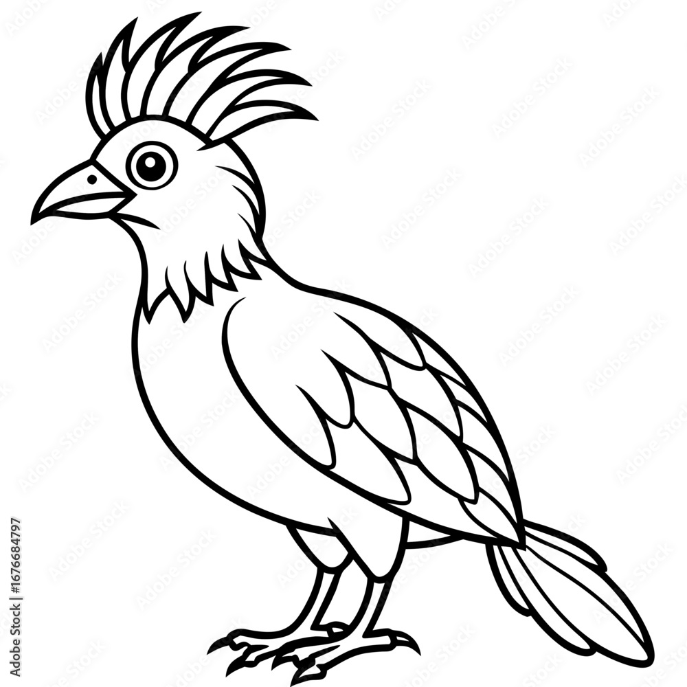 Obraz premium Hoatzin line art vector