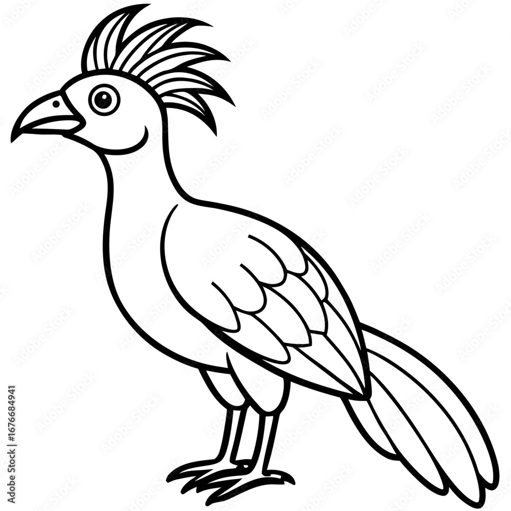 Fototapeta premium Hoatzin line art vector