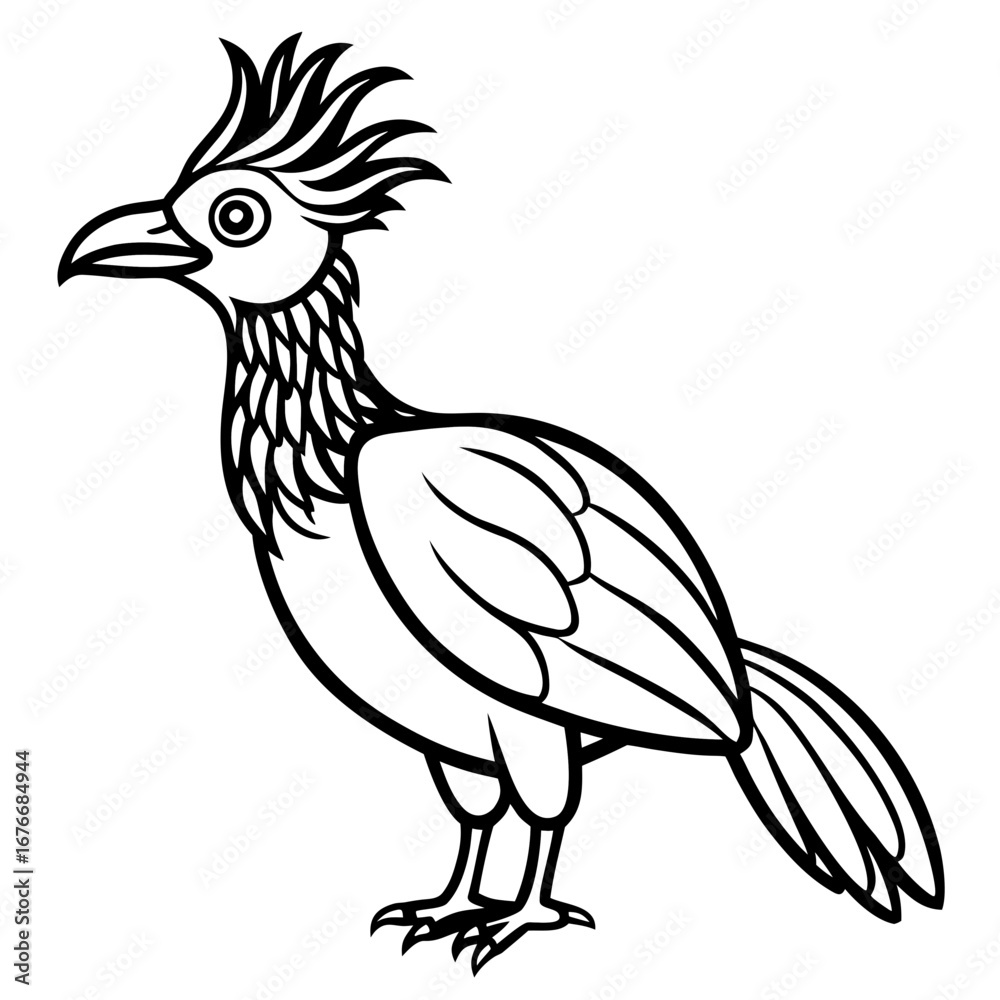 Obraz premium Hoatzin line art vector