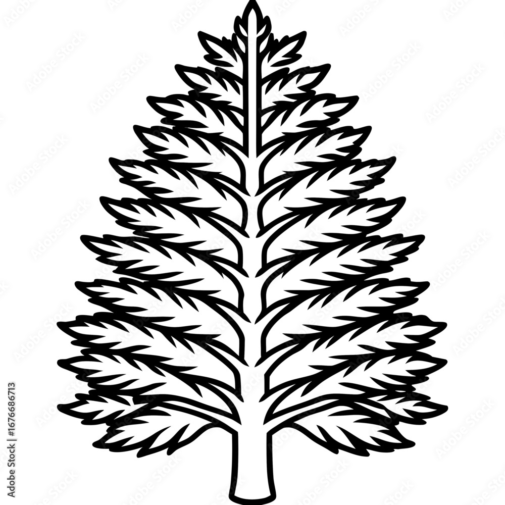 Fototapeta premium Dawn Redwood line art vector
