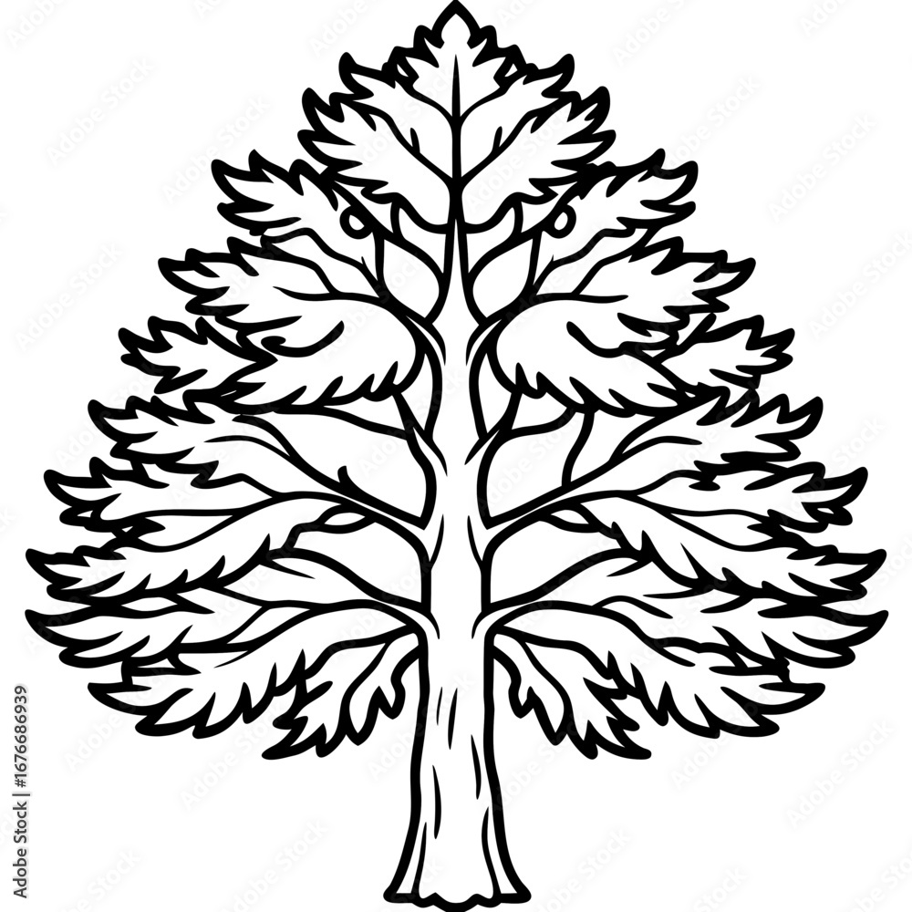 Obraz premium Dawn Redwood line art vector
