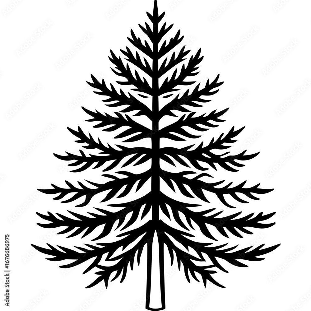 Fototapeta premium Dawn Redwood line art vector