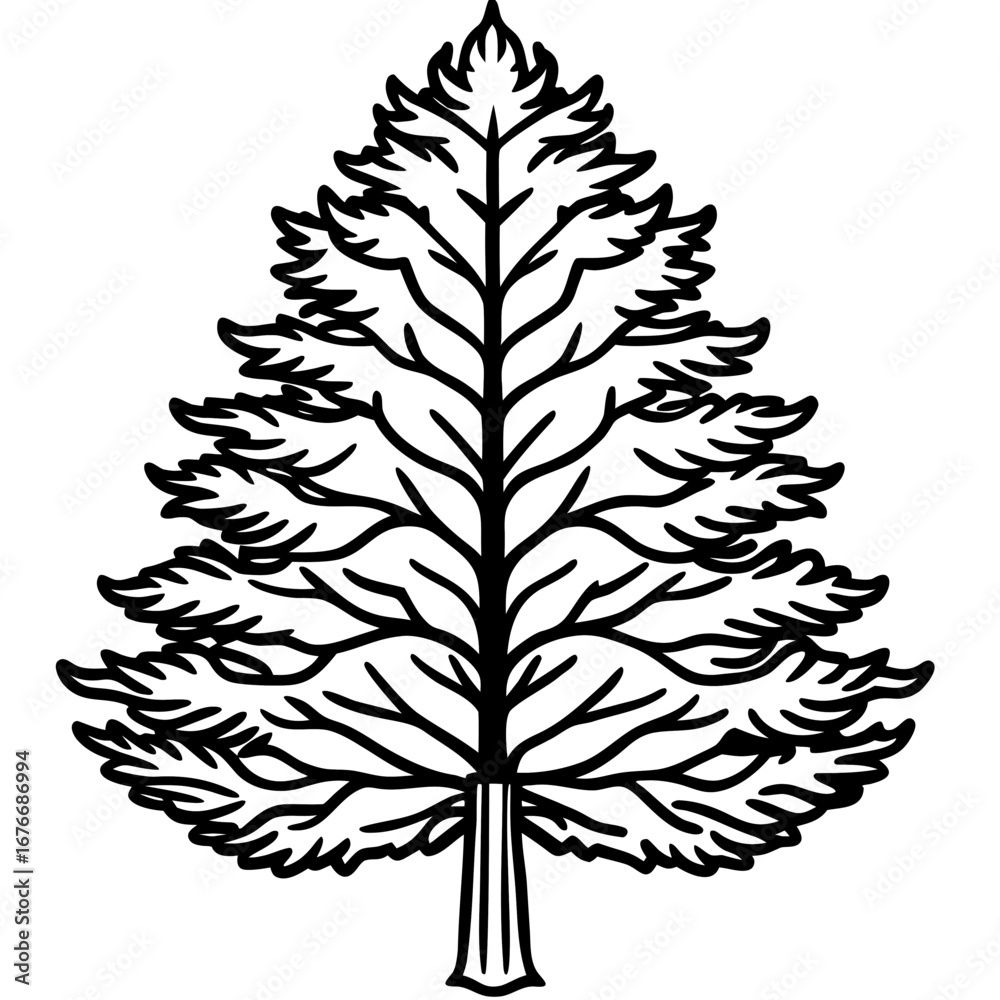 Fototapeta premium Dawn Redwood line art vector