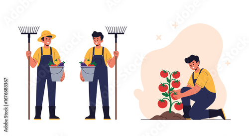 Two farmers harvesting fresh vegetables together while another farmer tends to a tomato plant