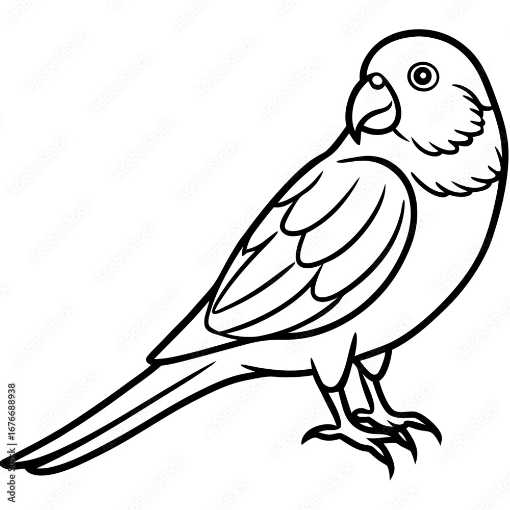 Obraz premium Parakeet line art vector