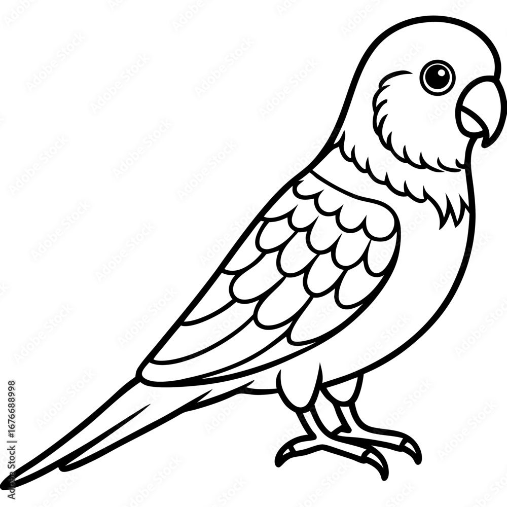 Obraz premium Parakeet line art vector