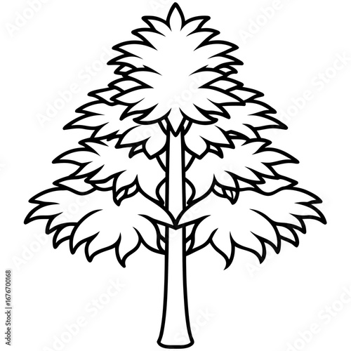Monkey‑puzzle Tree line art vector