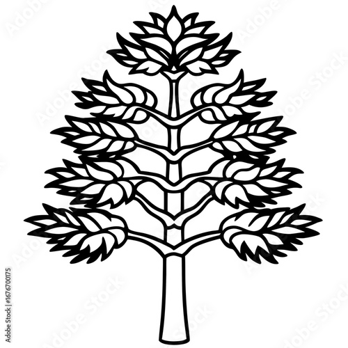 Monkey‑puzzle Tree line art vector