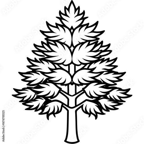 Monkey‑puzzle Tree line art vector