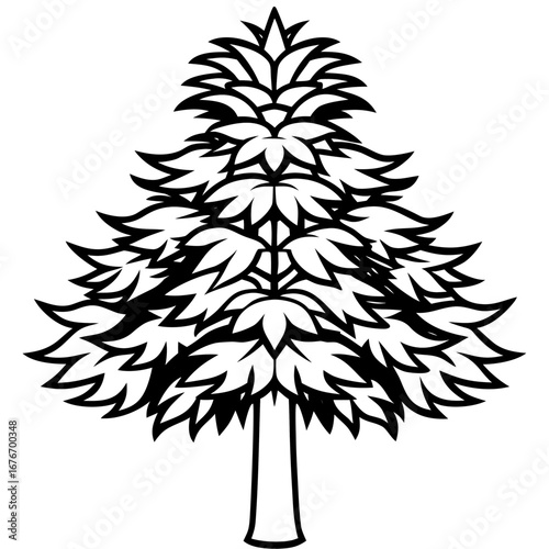 Monkey‑puzzle Tree line art vector