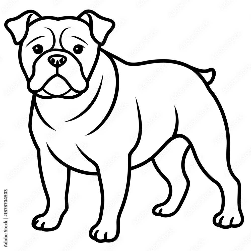 Fototapeta premium Bulldog line art vector