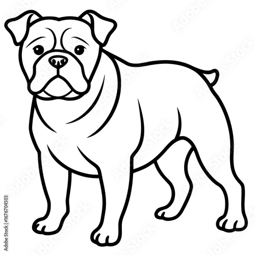 Bulldog line art vector
