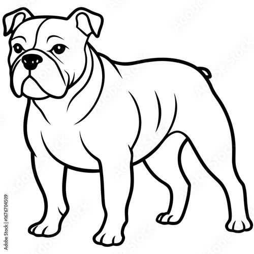 Bulldog line art vector