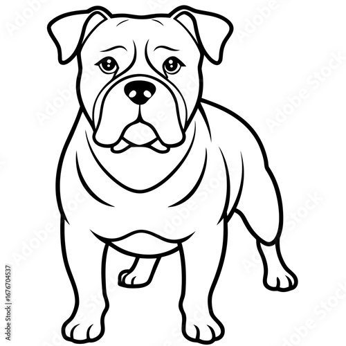 Bulldog line art vector