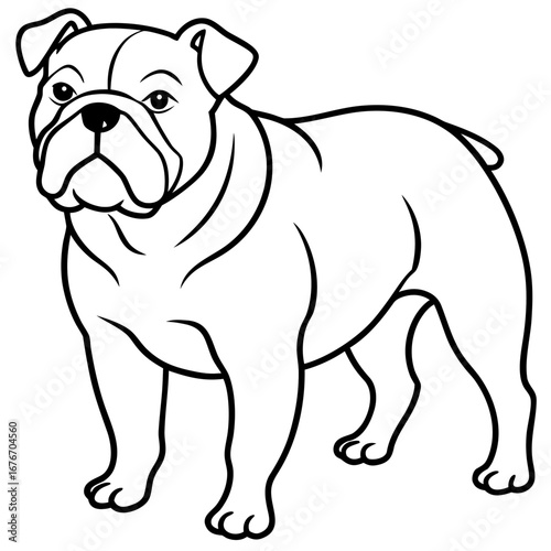 Bulldog line art vector
