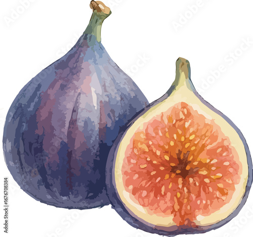 fig fruit
