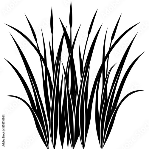 Gras vector silhouette black design white background
