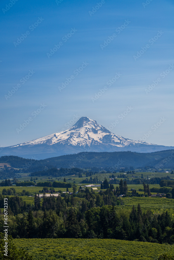 Fototapeta premium Mount Hood covered in snow in early summer in Oregon, with green pastures, orchards and farms of Hood valley in the foreground, hazy blue sky