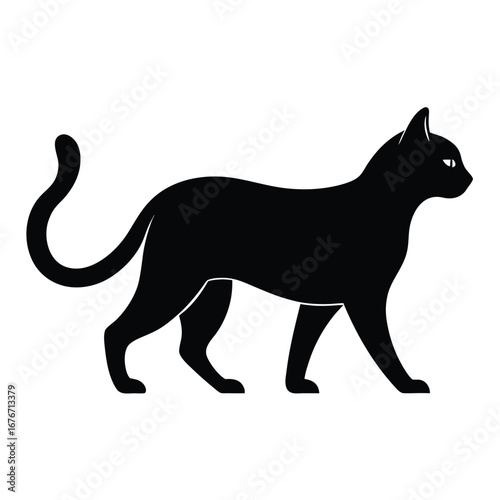 Black cat silhouette 