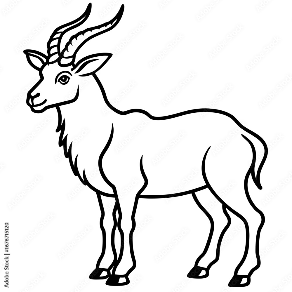 Fototapeta premium Markhor line art vector