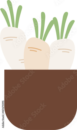 pile of radish vegetable harvest