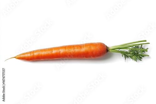 Single fresh carrot, top view (1)