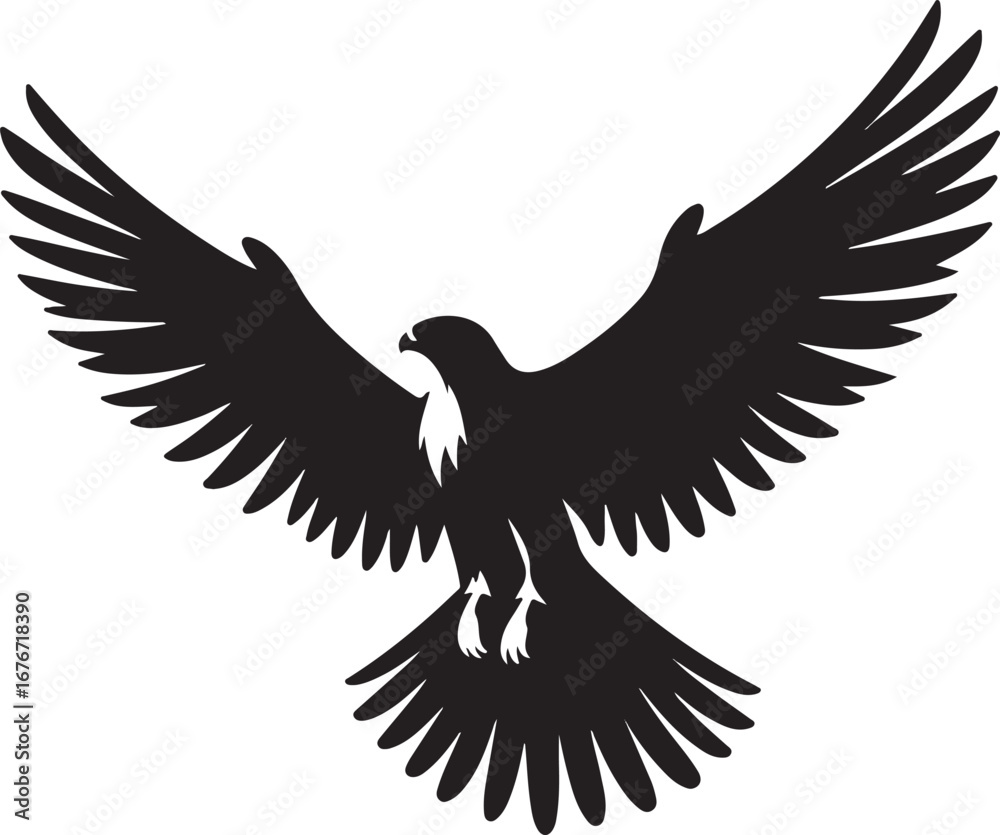 Obraz premium eagle vector illustration