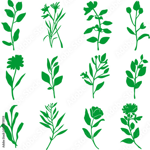 Green botanical plant sprigs in vector format, suitable for naturethemed designs, ecofriendly branding, organic products, or botany educational materials.