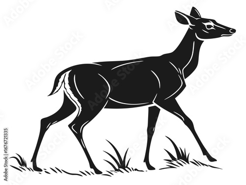silhouette of a kangaroo